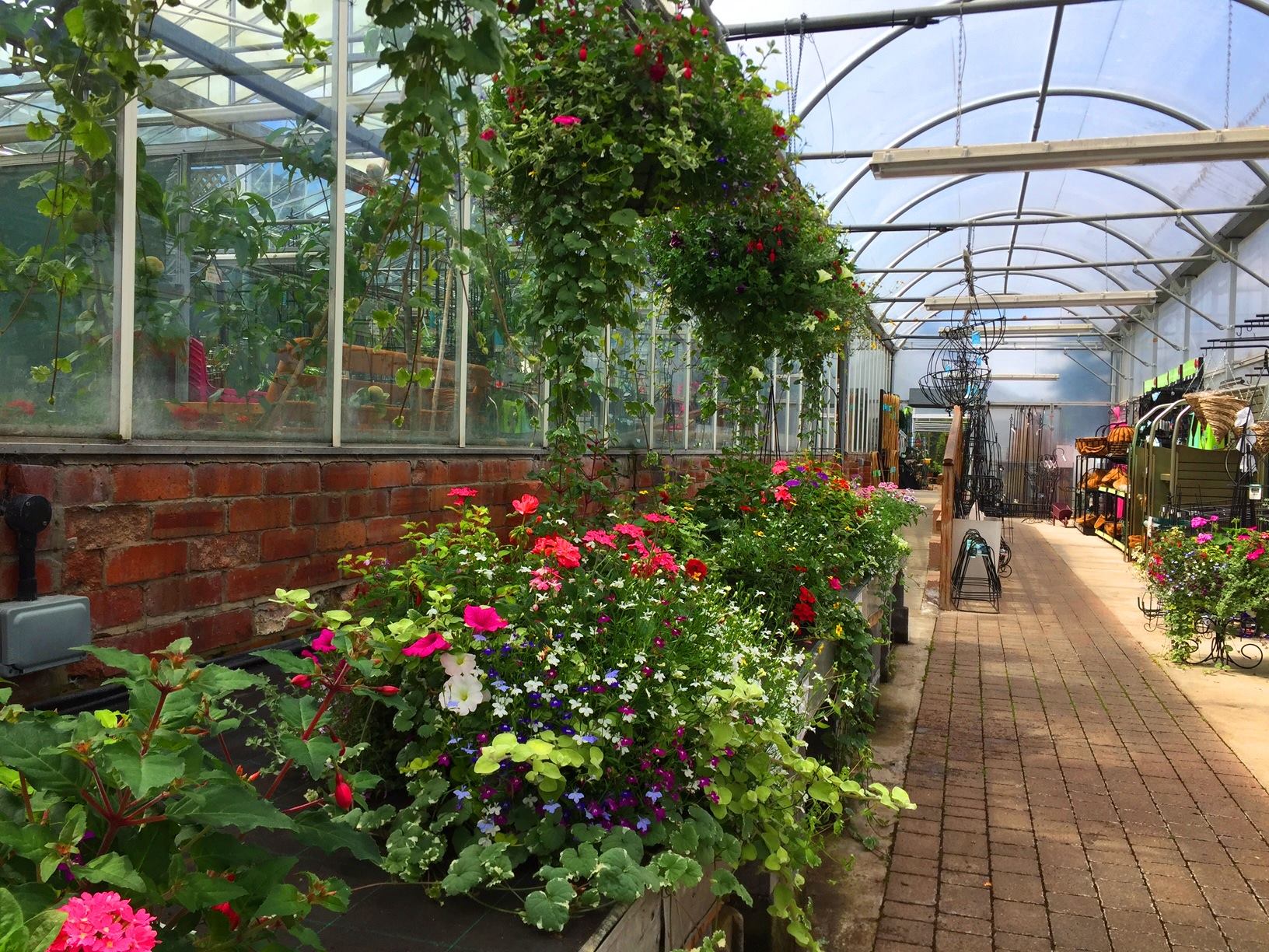 Garden Centre Near Sunderland